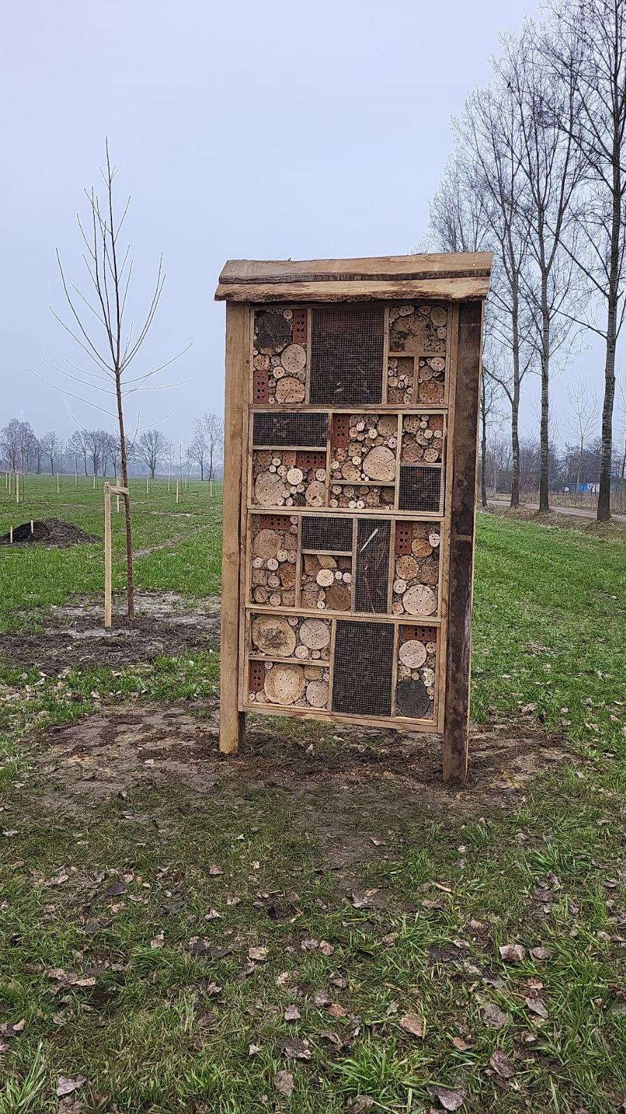project Meijerijstad 1